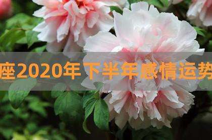 运势2020年运势(运势2020年运势属羊)