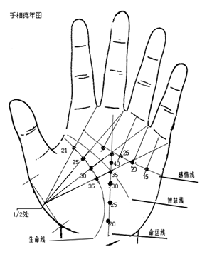 掌纹运势(掌纹运势左手还是右手)