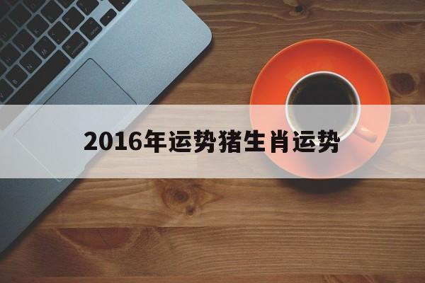 2016年运势猪生肖运势(2017年生肖猪的运势大全)