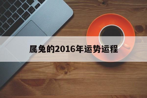 属兔的2016年运势运程(属兔的2016年运势运程怎么样)