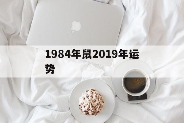 1984年鼠2019年运势(属鼠1984 2019年运势)