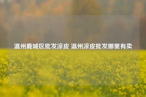 温州鹿城区批发凉皮 温州凉皮批发哪里有卖