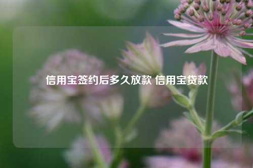 信用宝签约后多久放款 信用宝贷款