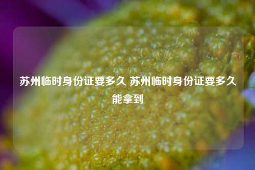 苏州临时身份证要多久 苏州临时身份证要多久能拿到