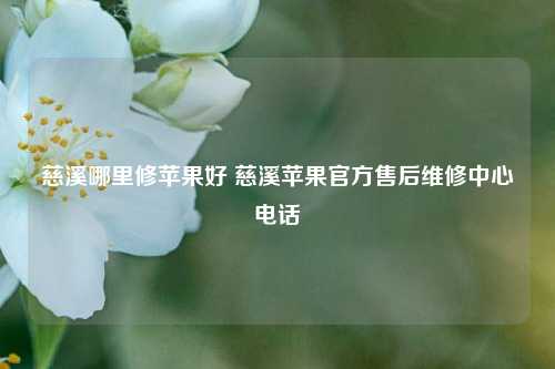 慈溪哪里修苹果好 慈溪苹果官方售后维修中心电话