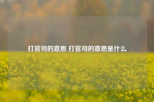 打官司的意思 打官司的意思是什么