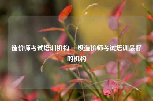 造价师考试培训机构 一级造价师考试培训最好的机构