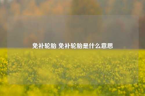 免补轮胎 免补轮胎是什么意思