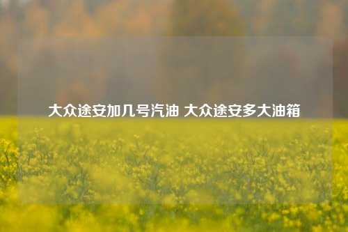 大众途安加几号汽油 大众途安多大油箱