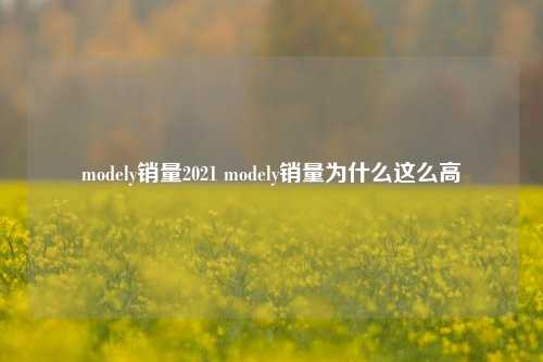 modely销量2021 modely销量为什么这么高