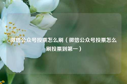 微信公众号投票怎么刷（微信公众号投票怎么刷投票到第一）