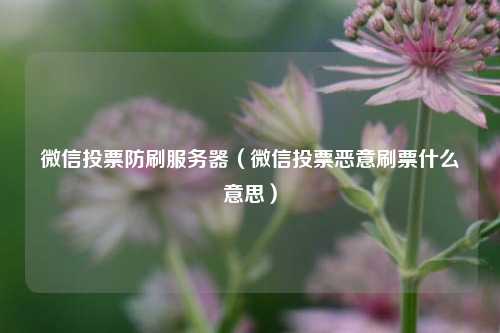 微信投票防刷服务器（微信投票恶意刷票什么意思）