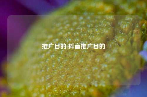 推广目的 抖音推广目的