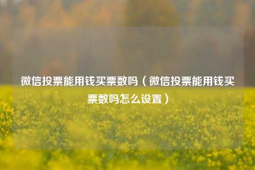 微信投票能用钱买票数吗（微信投票能用钱买票数吗怎么设置）