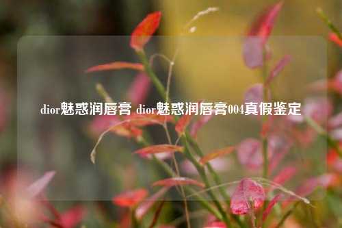 dior魅惑润唇膏 dior魅惑润唇膏004真假鉴定