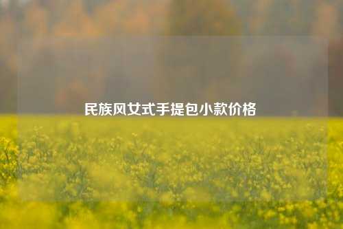 民族风女式手提包小款价格 