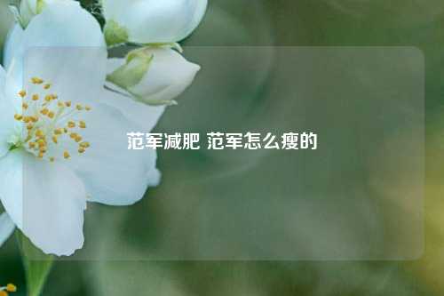 范军减肥 范军怎么瘦的