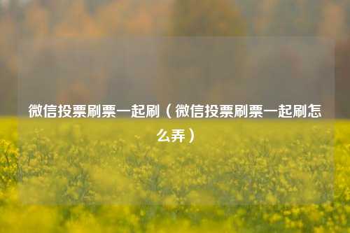 微信投票刷票一起刷（微信投票刷票一起刷怎么弄）