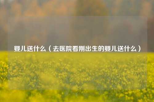 婴儿送什么（去医院看刚出生的婴儿送什么）