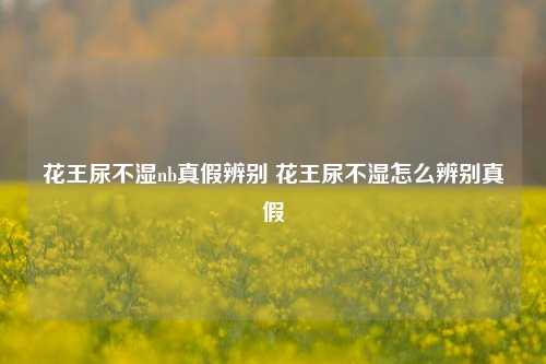 花王尿不湿nb真假辨别 花王尿不湿怎么辨别真假