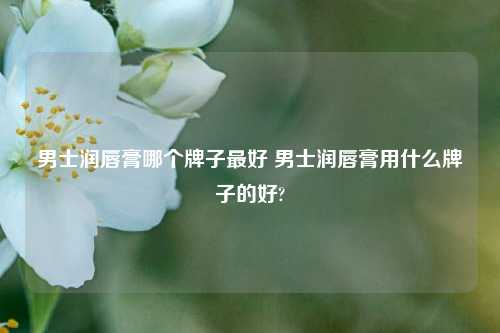 男士润唇膏哪个牌子最好 男士润唇膏用什么牌子的好?