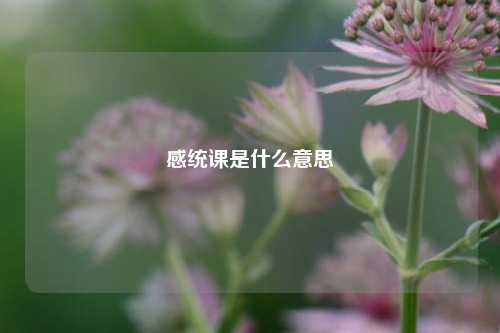 感统课是什么意思