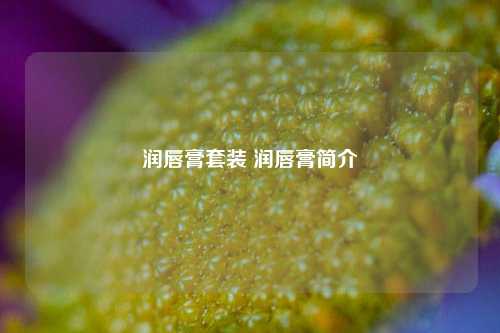 润唇膏套装 润唇膏简介