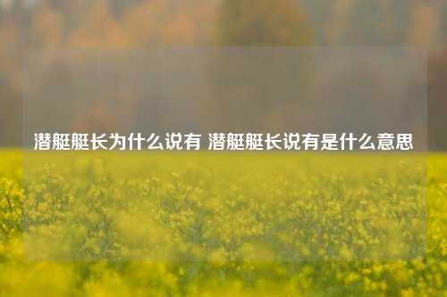 潜艇艇长为什么说有 潜艇艇长说有是什么意思