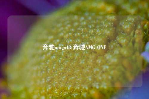 奔驰amga43 奔驰AMG ONE